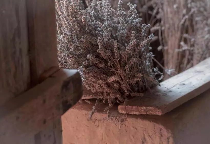 ホテル Borgo Villa Certano   Case Vacanza In Toscana