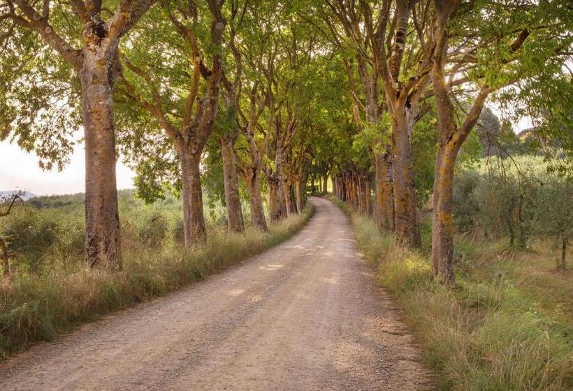 ホテル Borgo Villa Certano   Case Vacanza In Toscana