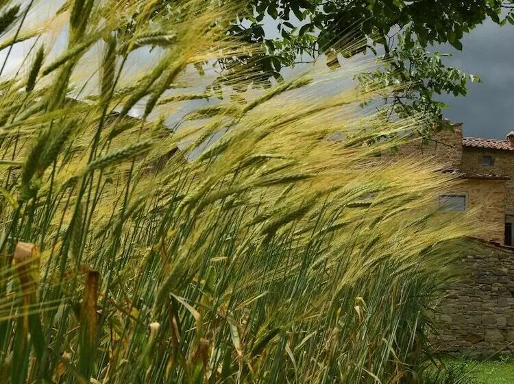 ホテル Baciano Azienda Agrituristico Venatoria