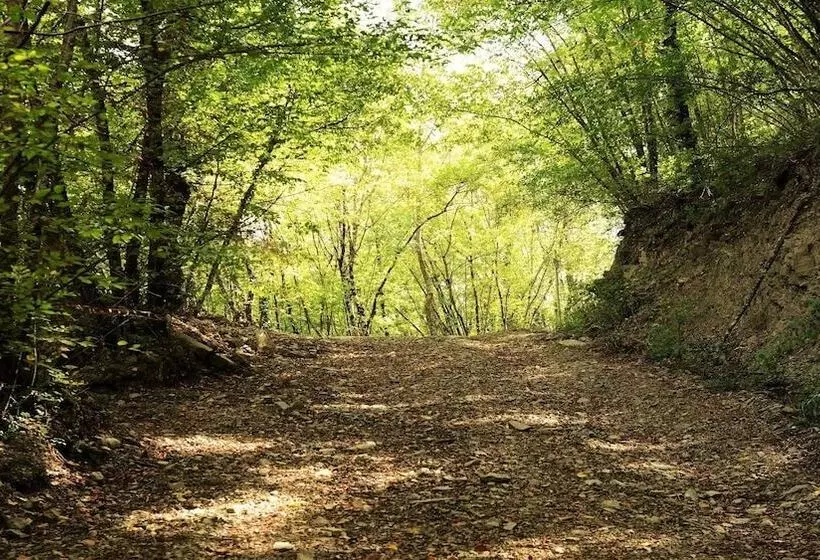 ホテル Baciano Azienda Agrituristico Venatoria