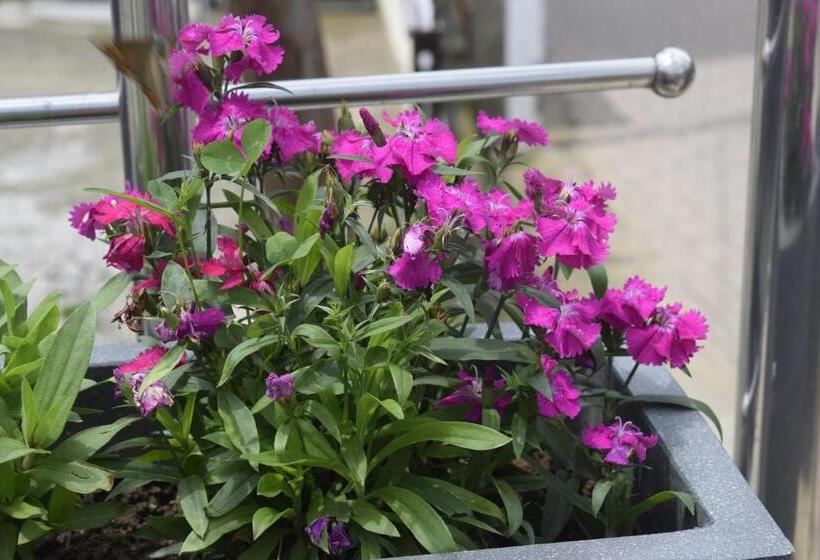 בית מלון כפרי Ess & Bee Resorts