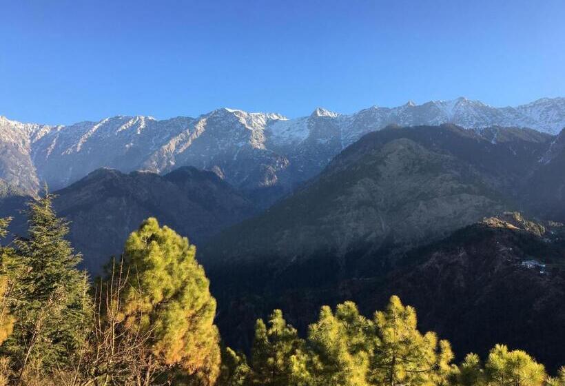 בית מלון כפרי Ess & Bee Resorts