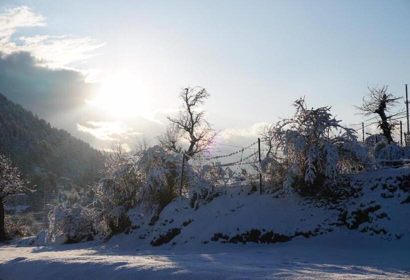 בית מלון כפרי Ess & Bee Resorts