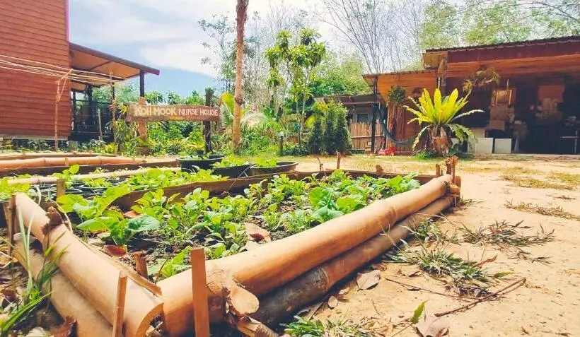 Hotelli Kohmook Nurse House