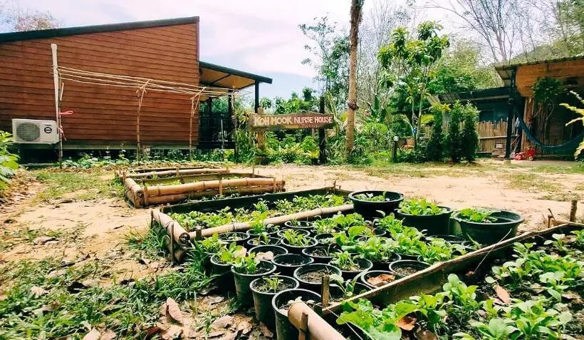 Hotelli Kohmook Nurse House