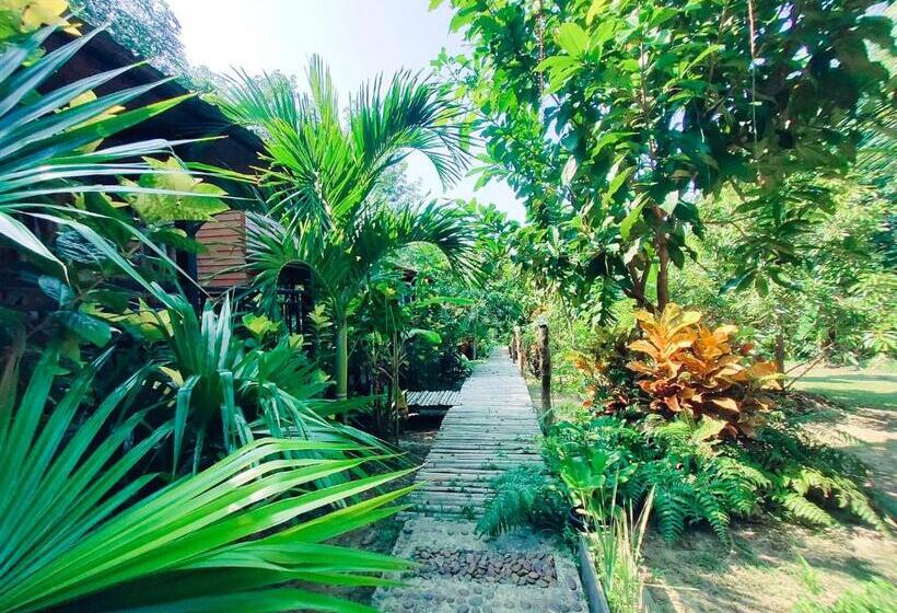 فندق Kohmook Nurse House