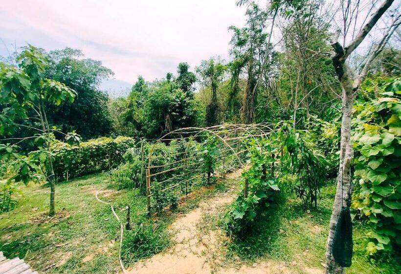 فندق Kohmook Nurse House