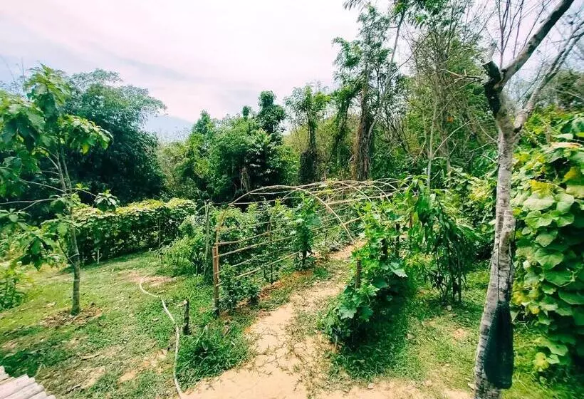 Hotelli Kohmook Nurse House