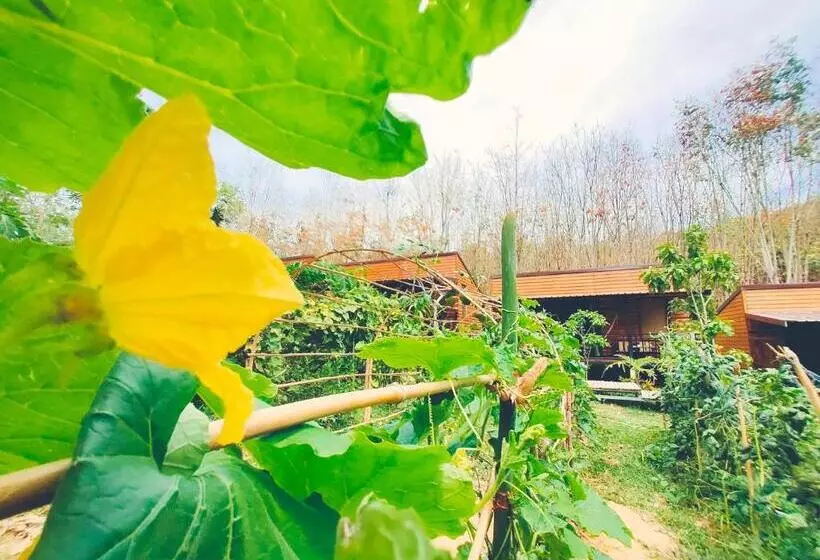 Hotelli Kohmook Nurse House