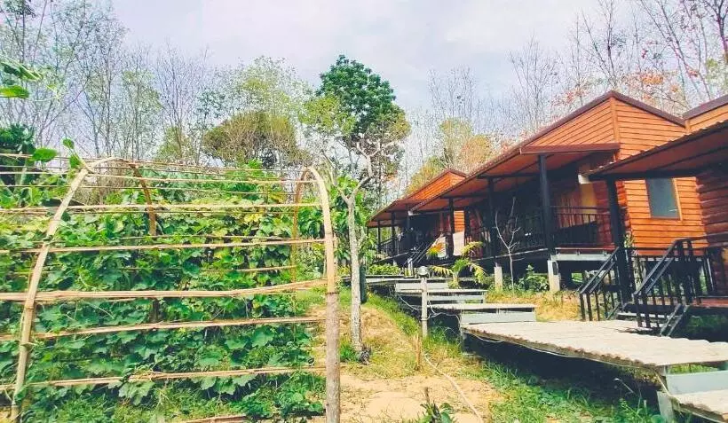 Hotelli Kohmook Nurse House