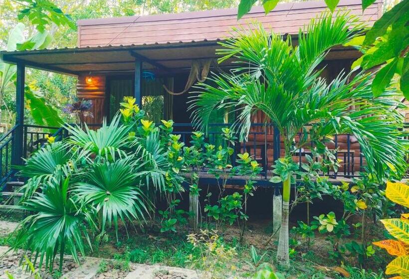 فندق Kohmook Nurse House