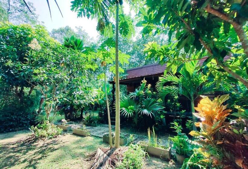 فندق Kohmook Nurse House