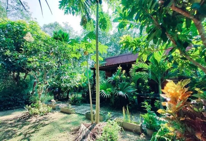 Hotelli Kohmook Nurse House