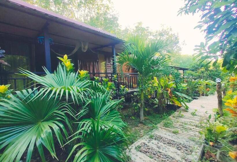 فندق Kohmook Nurse House