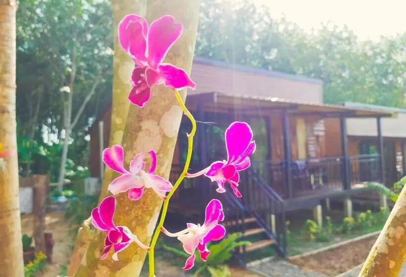 ホテル Kohmook Nurse House
