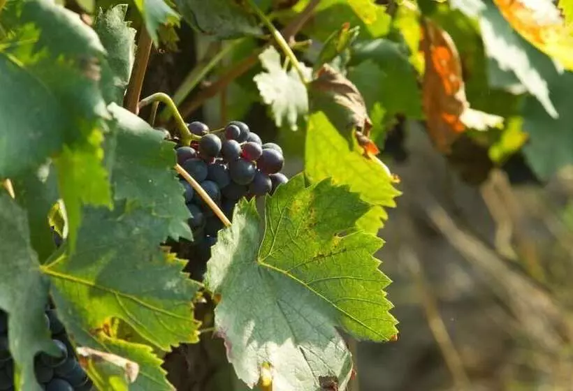 هتل Podere San Lorenzo