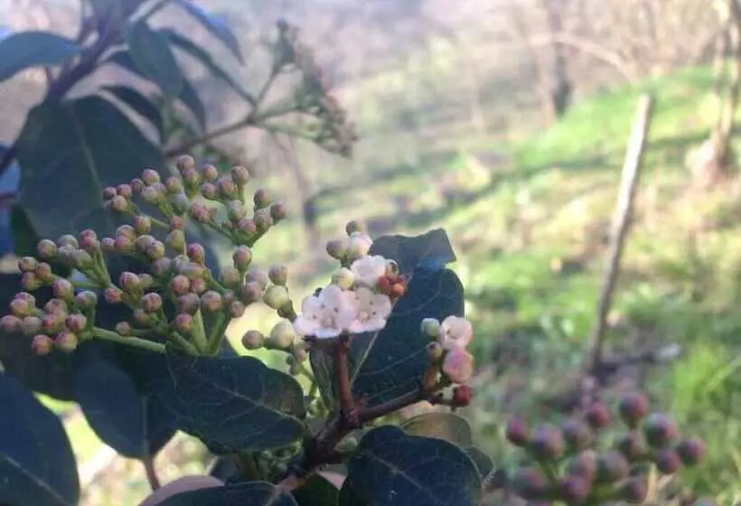 هتل Podere San Lorenzo