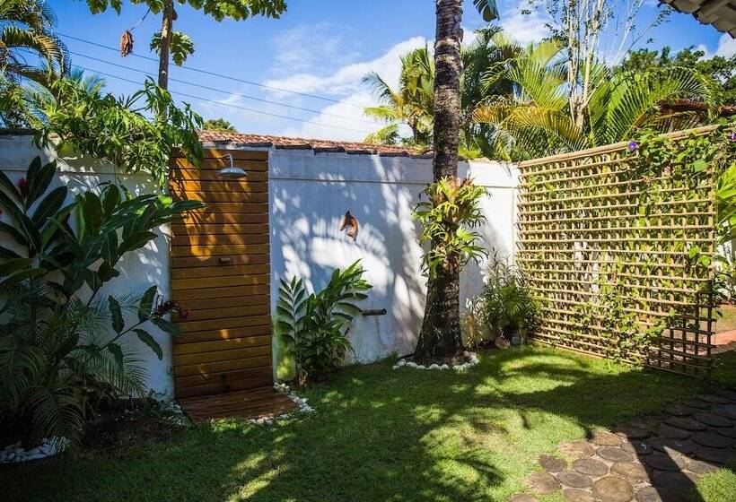 Отель Pousada Jequitiba