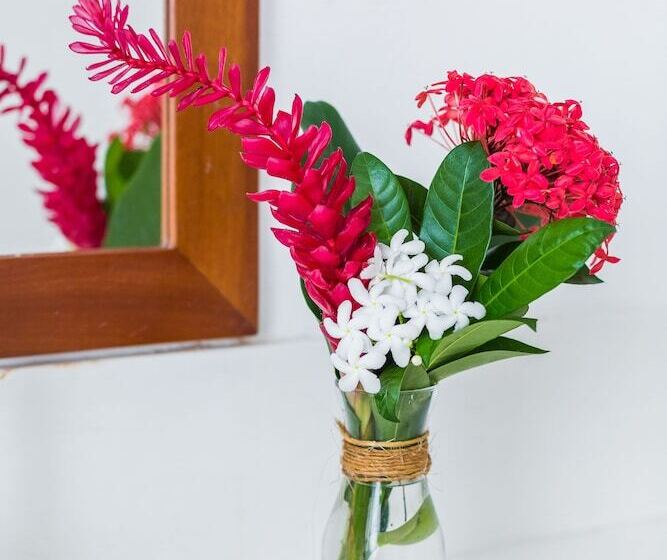 Отель Pousada Jequitiba