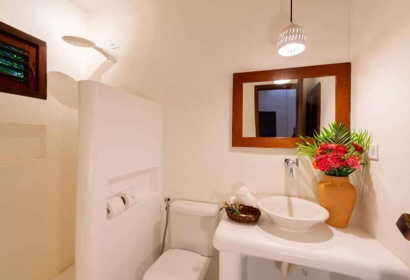 Отель Pousada Jequitiba