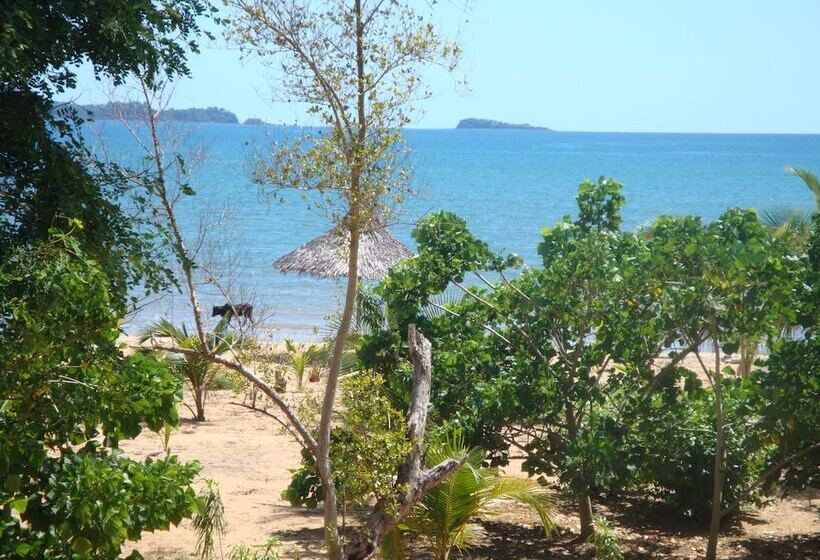 پانسیون Reva Castel