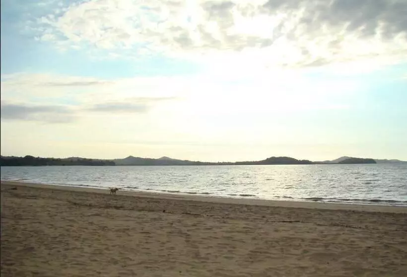 پانسیون Reva Castel