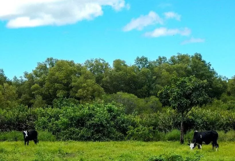 پانسیون Reva Castel