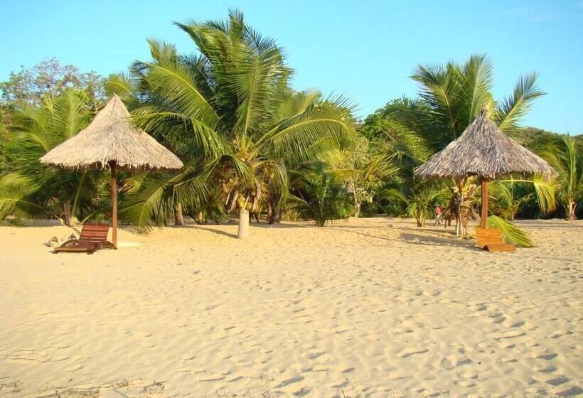 پانسیون Reva Castel