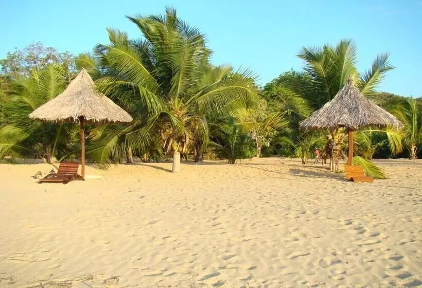 پانسیون Reva Castel