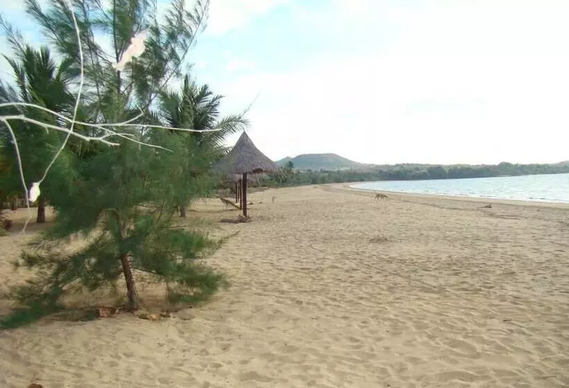 پانسیون Reva Castel