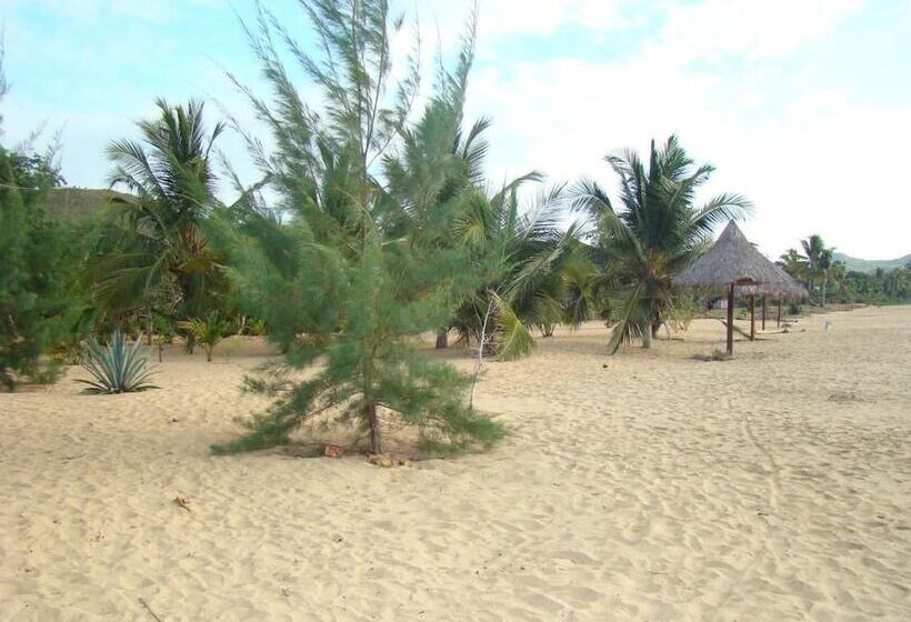 پانسیون Reva Castel