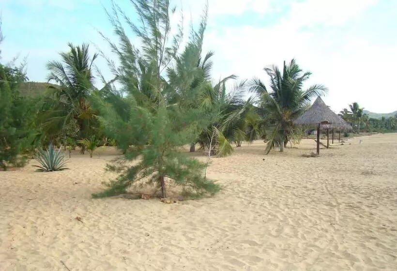 پانسیون Reva Castel