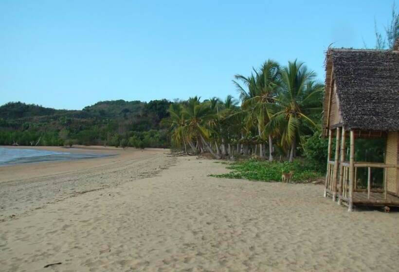 پانسیون Reva Castel