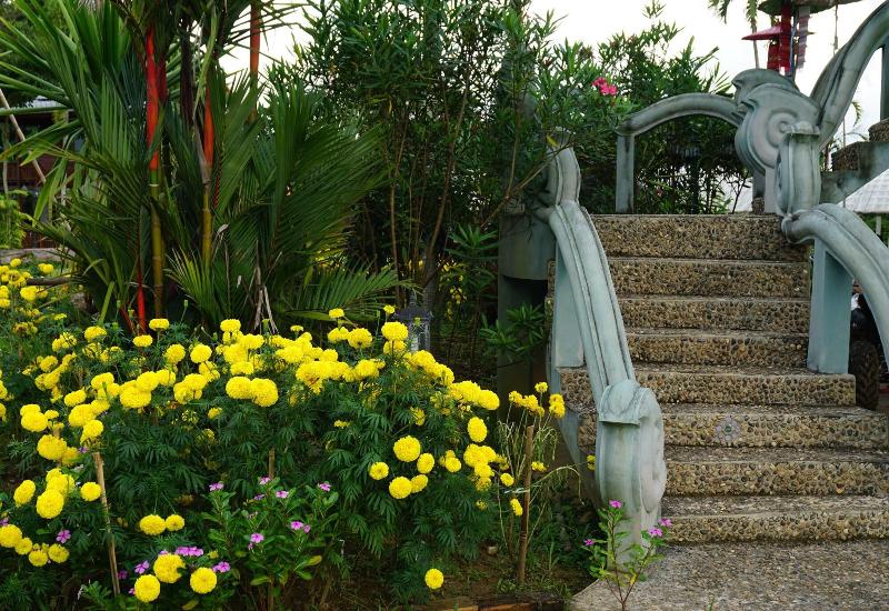 هتل Ban Suan Tawan Chiang Dao