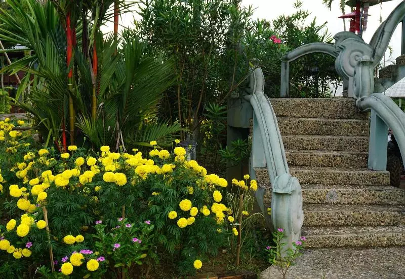 هتل Ban Suan Tawan Chiang Dao