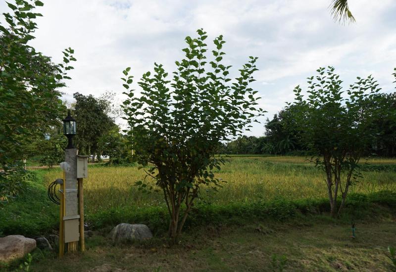 هتل Ban Suan Tawan Chiang Dao