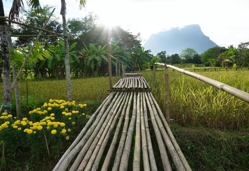 هتل Ban Suan Tawan Chiang Dao