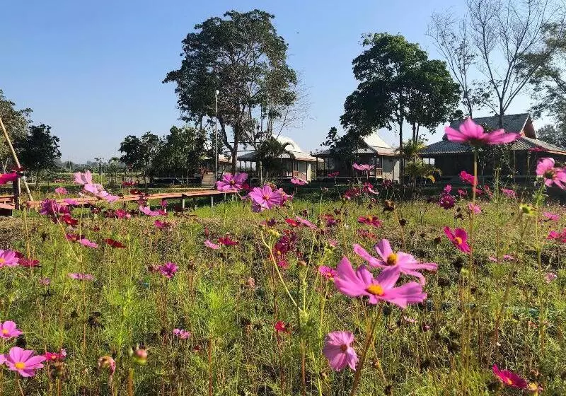 هتل Ban Suan Tawan Chiang Dao