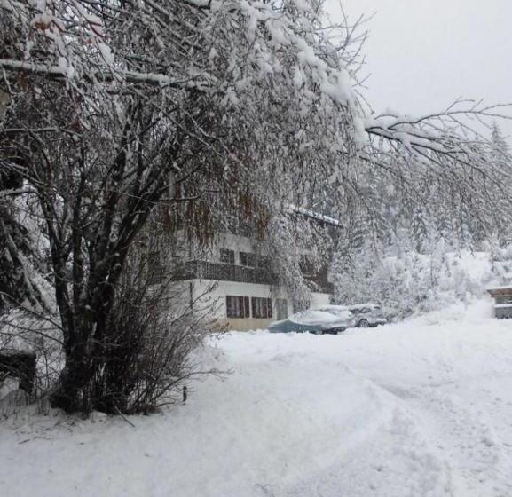 Отель Casa Alpina Dobbiaco