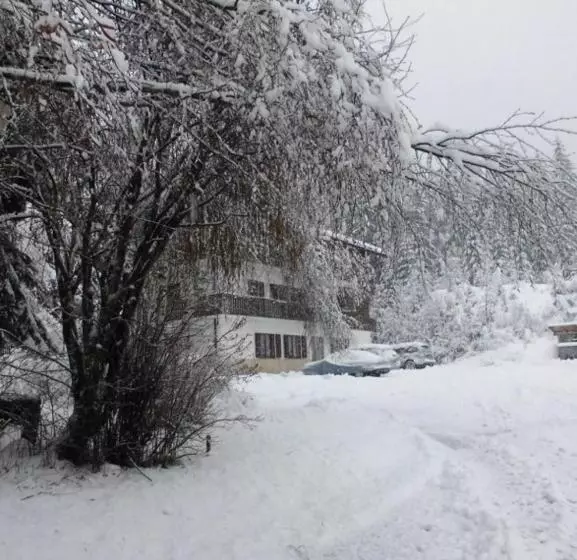 ホテル Casa Alpina Dobbiaco