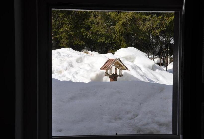Отель Casa Alpina Dobbiaco