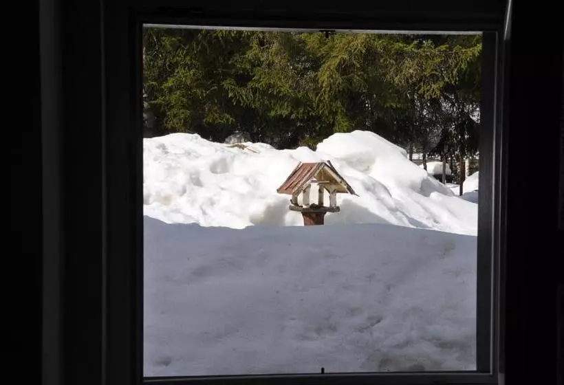 ホテル Casa Alpina Dobbiaco