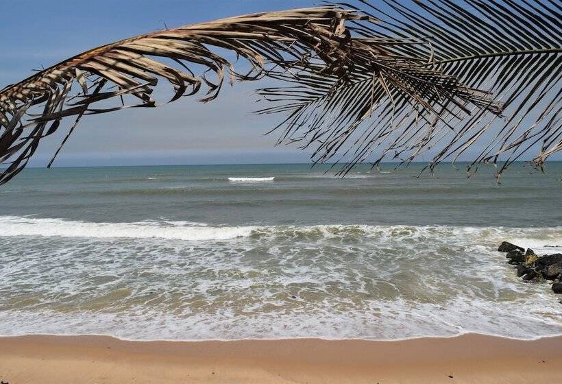 酒店 Coconut Pointe Villa & Beach Resort