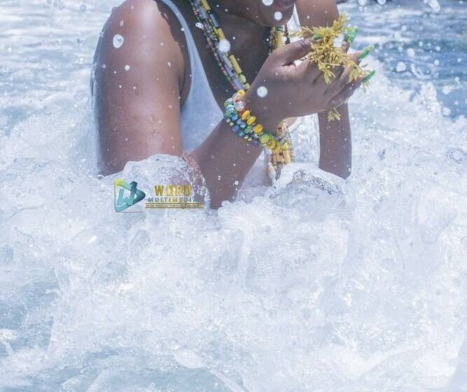 酒店 Coconut Pointe Villa & Beach Resort