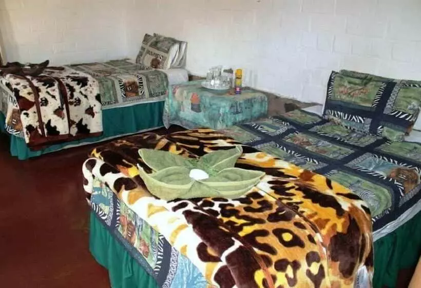 هتل Dimba Safaris
