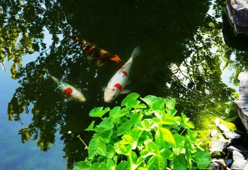 צימר Adventure Guesthouse Interlaken