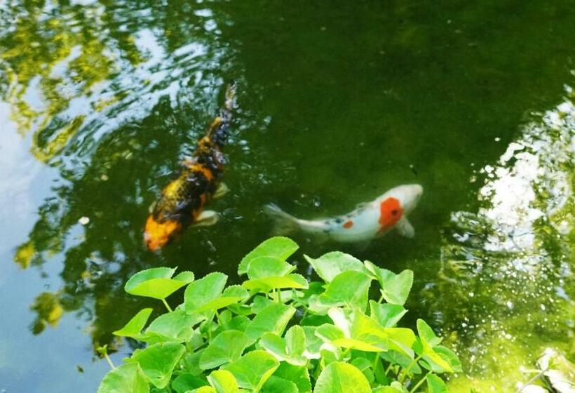 צימר Adventure Guesthouse Interlaken