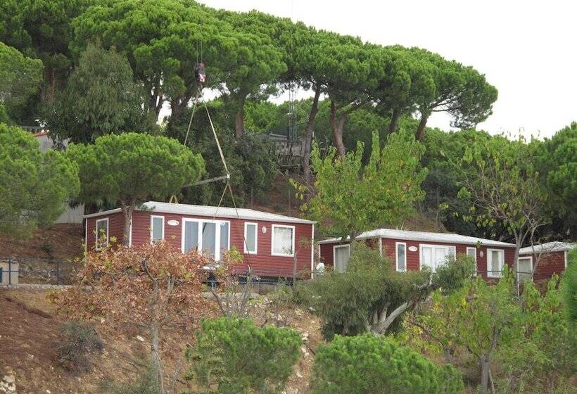 Hotel Camping Roca Grossa