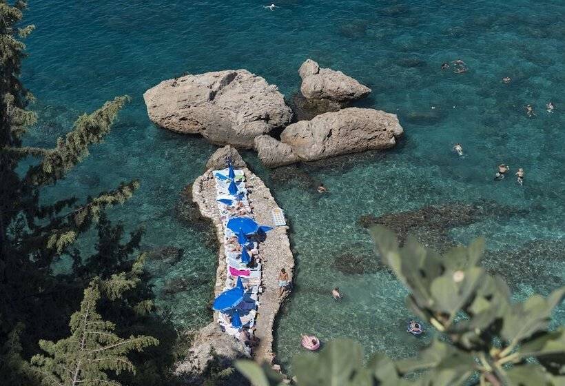 Delight Deluxe Hotel & Spa