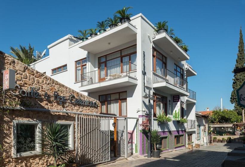 Delight Deluxe Hotel & Spa